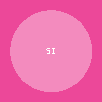 Suco Integral Uva 1L